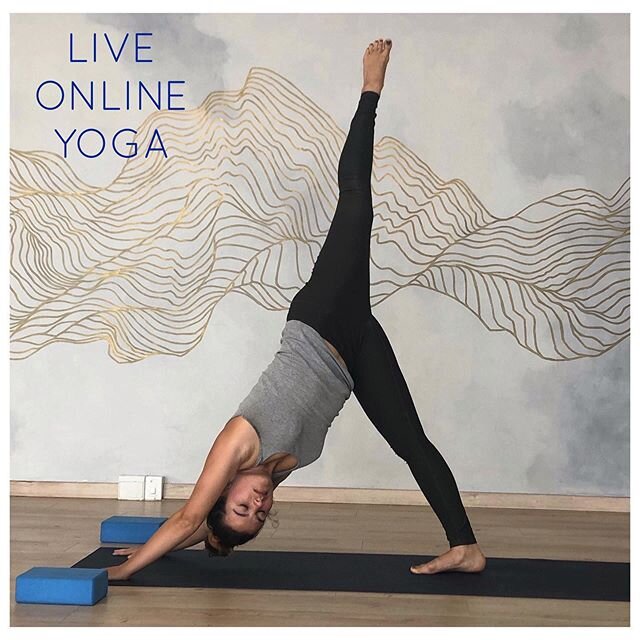 Weekend yoga 💙
FRIDAY
9.00am Basics with @capetownyogi 
5.00pm Yin Yoga with @capetownyogi 
SATURDAY 
9.00am Open Level with @capetownyogi 
SUNDAY 
9.00am Open Level with @yogaplay.za &bull;
&bull;
How to set up online: &bull;
&bull;
Go to the &lsqu