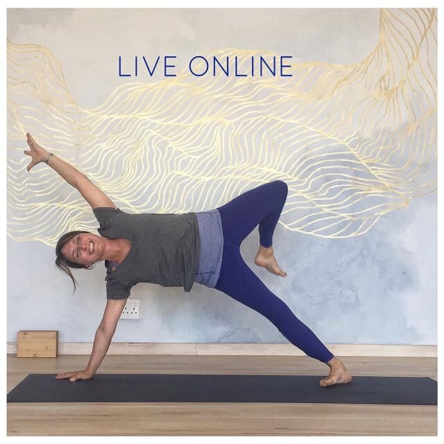 Connecting to your spirit is the most important love affair of your life ~ Ana Forrest ❤️
WEDNESDAY:
7.30am Open Level with @kirsti_gwyn 
12.30pm Open Level with @yogaplay.za 
5.30pm Yin Yoga with @capetownyogi 
THURSDAY
8.30am Open Level with @fusio